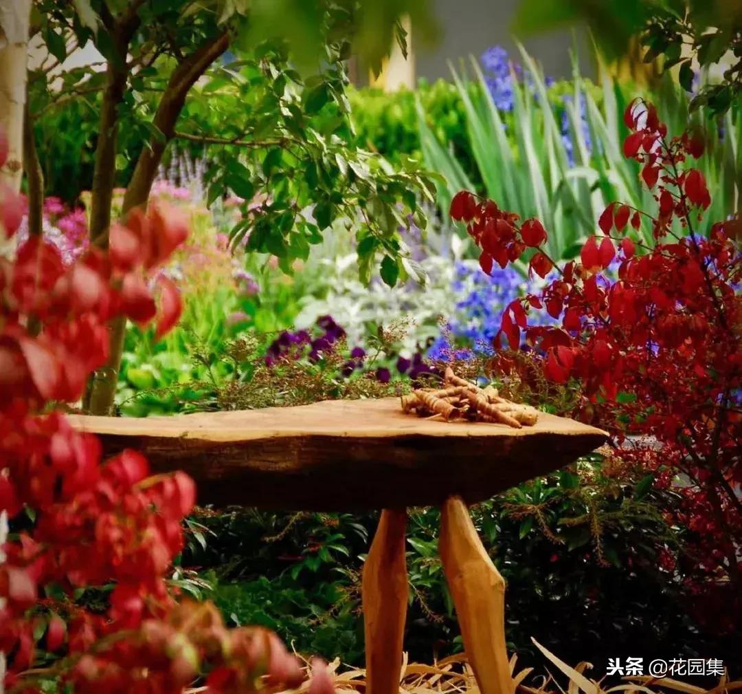 中国花园设计大奖赛园集奖,第四届花园设计大奖