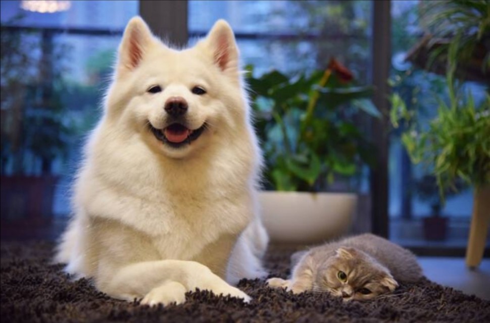 爆推5本经典都市小说,六本已完本都市小说巅峰之作