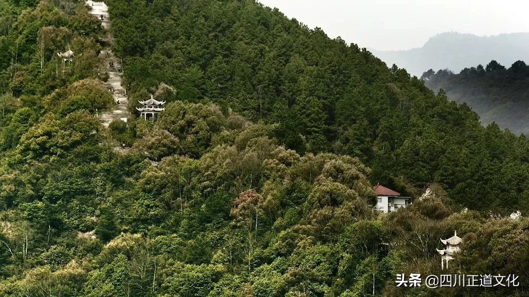 值得看的电影春天,春天的电影名字