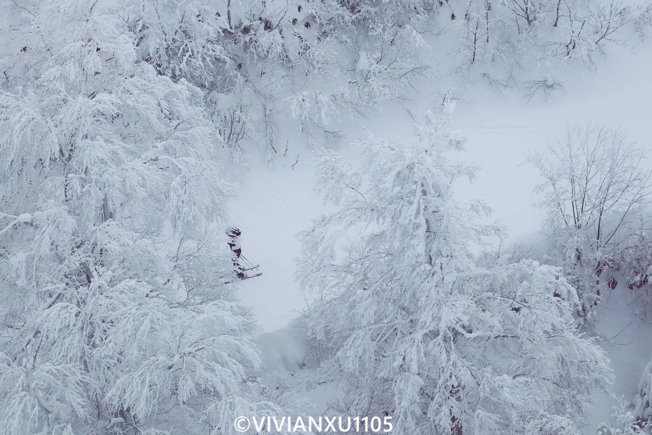 塑料母女深度解锁日本东北秋田县山形县