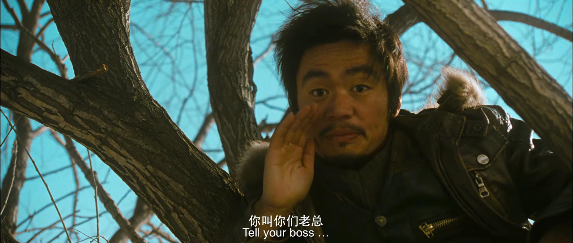 《hello!树先生》最强解析,也许树先生并不是印象中的可怜人