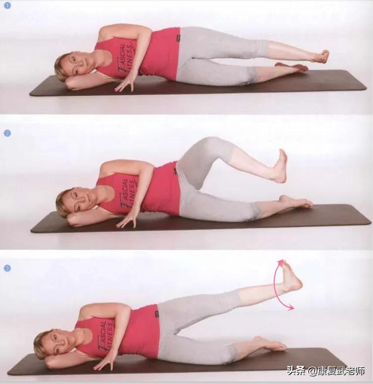 臀部肌群解剖详细讲解,臀部肌功能解剖