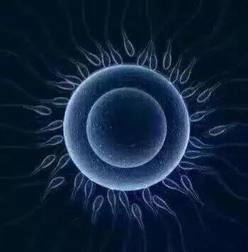 真不是骗你：你赢了所有精子？错！