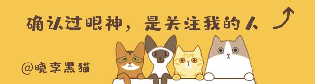 铲屎官们该怎样帮助猫咪过冬,过年猫咪留守攻略