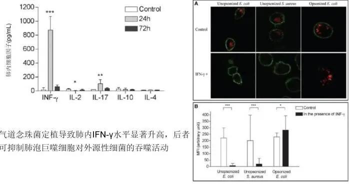 真菌培养及鉴定是阳性严重吗,怎么鉴别肺部真菌感染