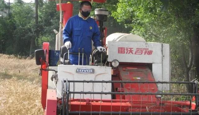 「劳模风采」描绘美丽乡村新画卷—记扬州市劳动模范、江都区真武镇真武村*党**总支部书记戴尔庆