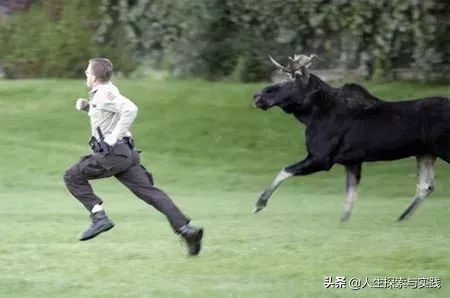 达尔文反进化论,足球早期演化史