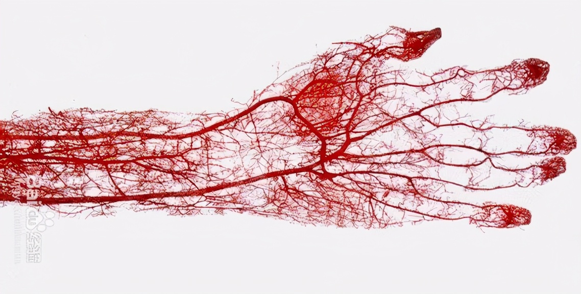 痛风的基础知识及用药,痛风各期用药攻略