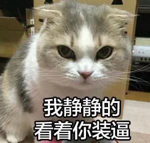 “煮了几天饭后,我在米缸里挖到了猫屎...”
