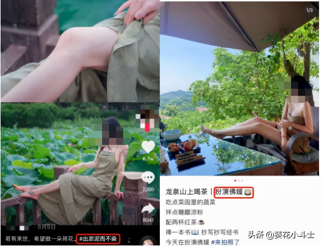 迷惑行为大赏印度,迷惑行为大赏公主抱