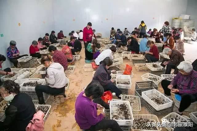 濮阳县各乡镇地名由来,濮阳最早出现的地名