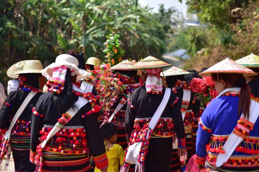 云南少数民族传统文化保护,四川和云南哪个少数民族多