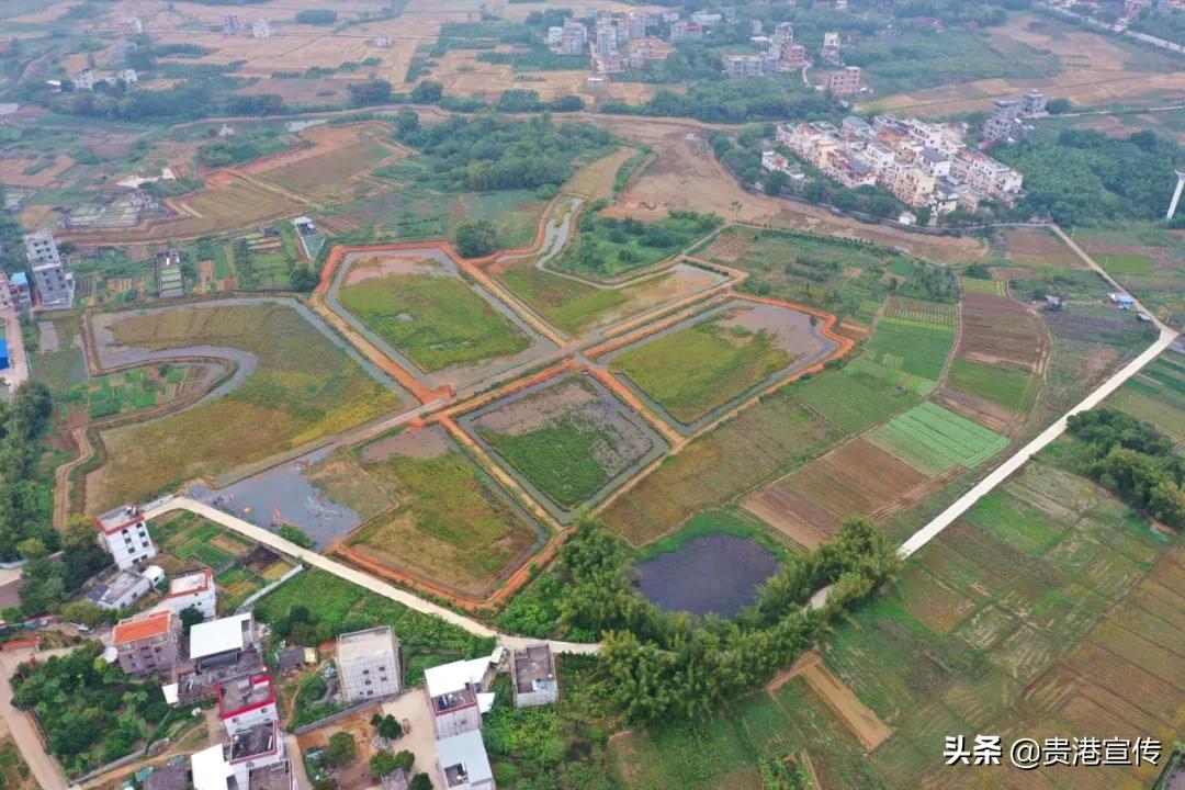 全国电视媒体走进贵港,全国百家媒体相聚巴彦淖尔