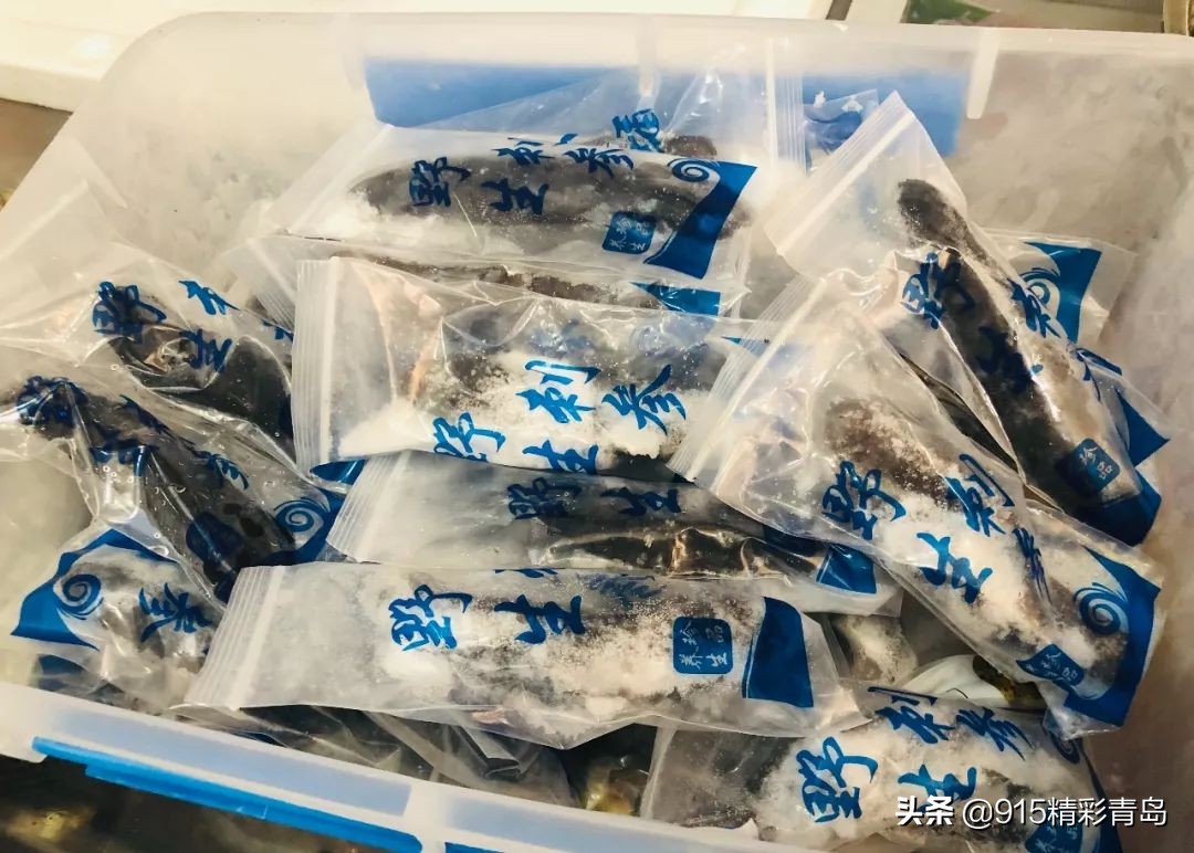 中国最好的海刺海参,黄金刺参西沙群岛深海纯野生海参