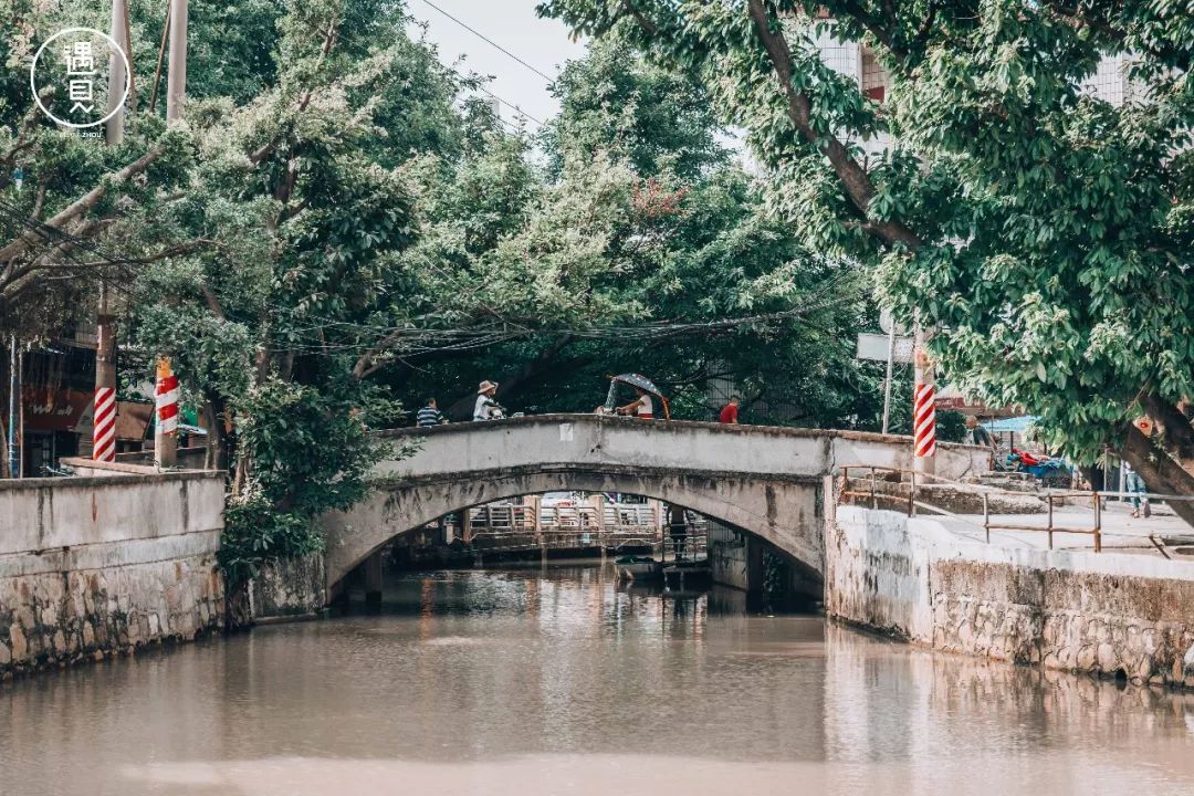 再见了沥川原唱视频,再见王沥川完整视频
