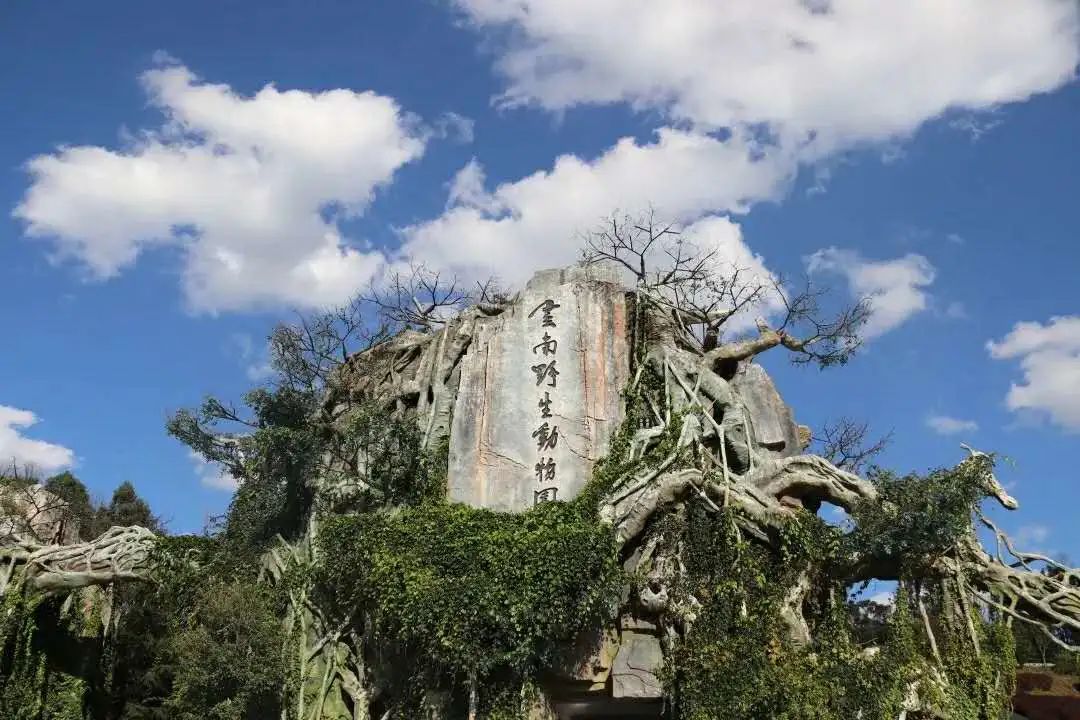 收好这份云南最新5a景区名单,云南的5a级景区有哪些