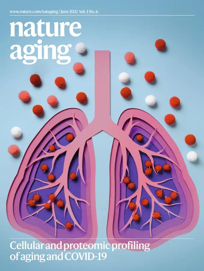 自然期刊封面,最新自然期刊