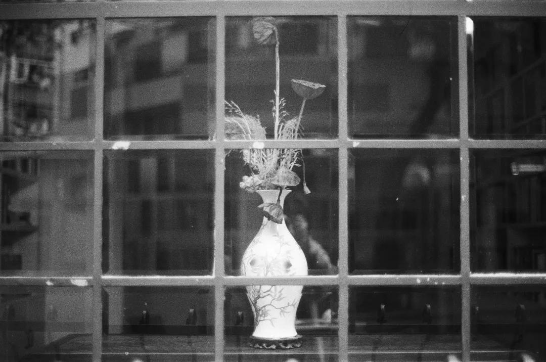 自媒体博主成功的故事,自媒体博主的真实故事