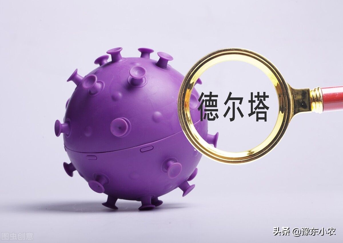 疫情过后大蒜价格预测表,新型冠状肺炎对大蒜价格有影响吗