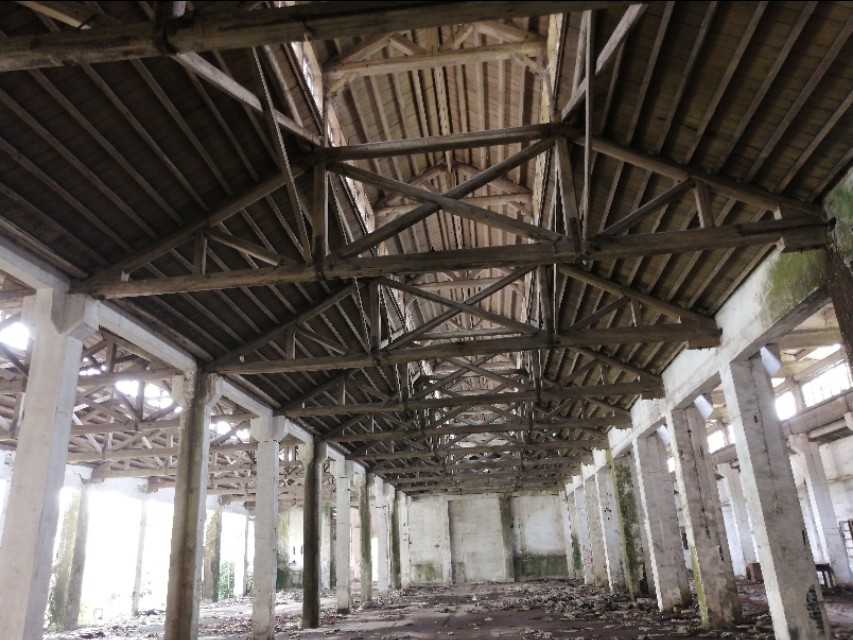 扫街日记100篇,扫街日记视频