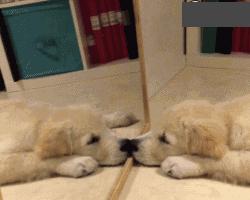 如何纠正写快字就变丑的习惯,怎样的习惯才会让嘴巴变丑