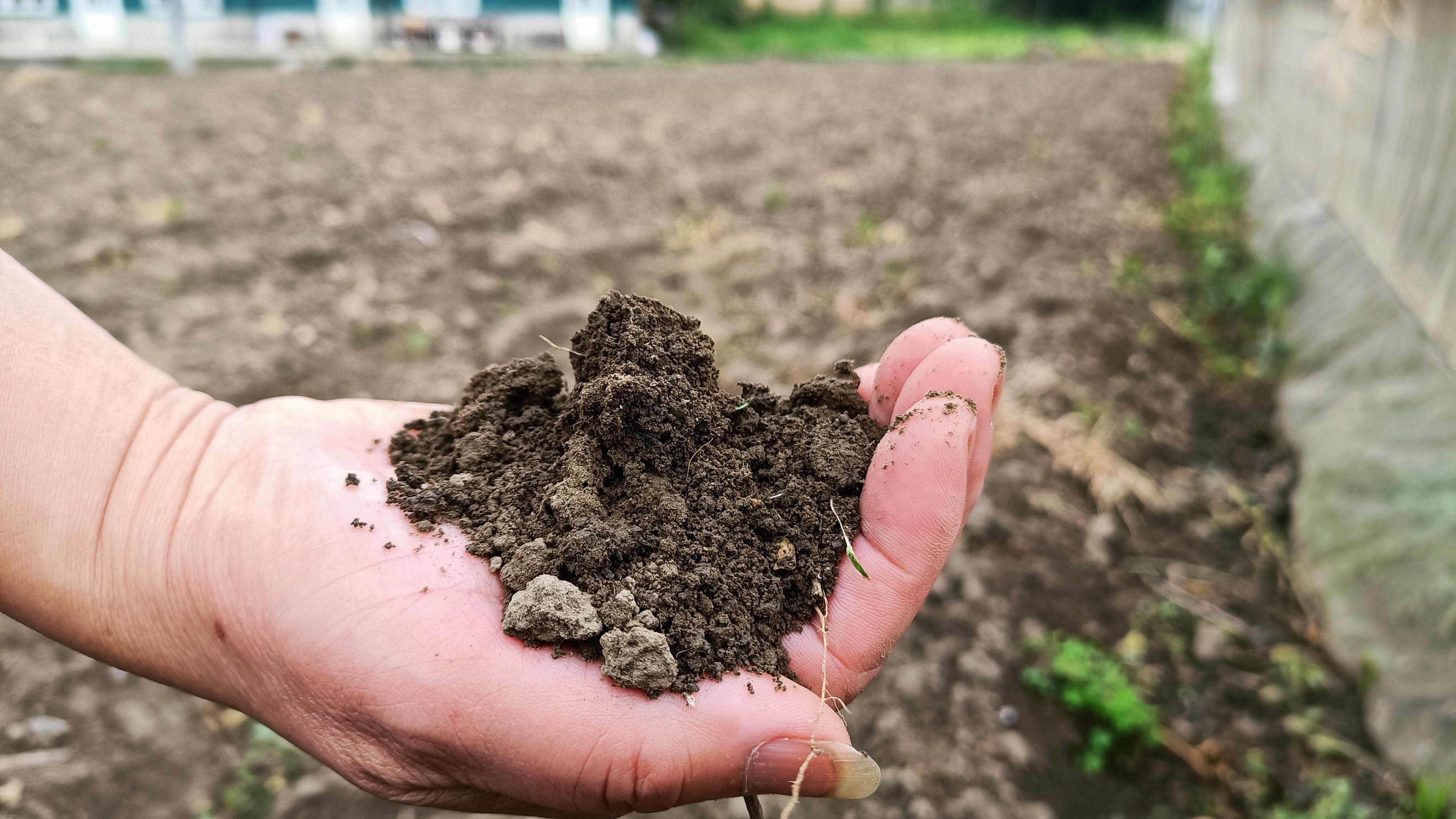 水果发酵的酵素对农作物有什么用,给瓜果蔬菜发酵的酵素