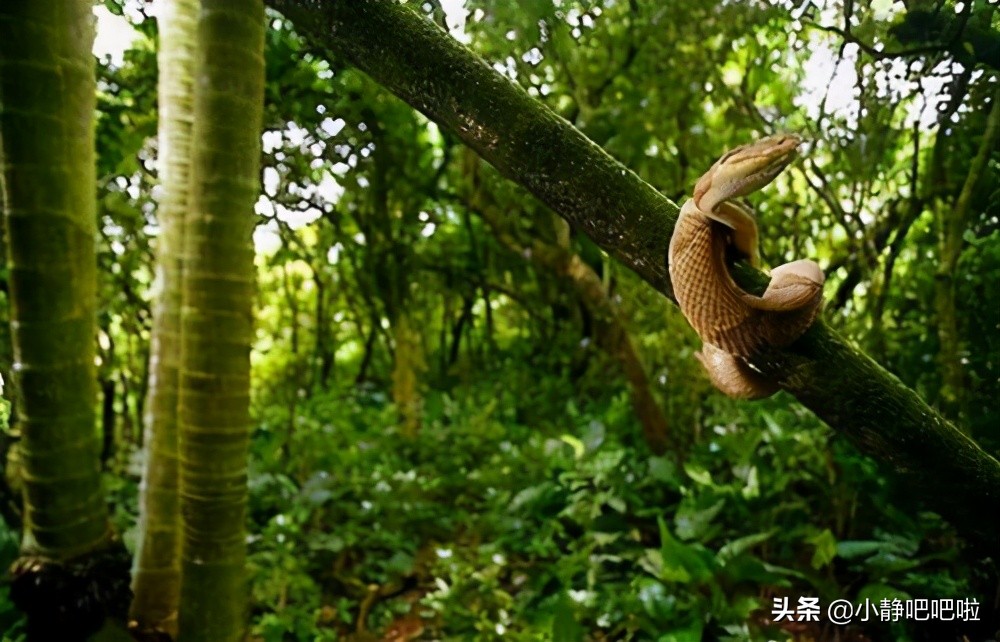 你不知道的国家冷知识俄罗斯,你不知道的国家冷知识摩洛哥