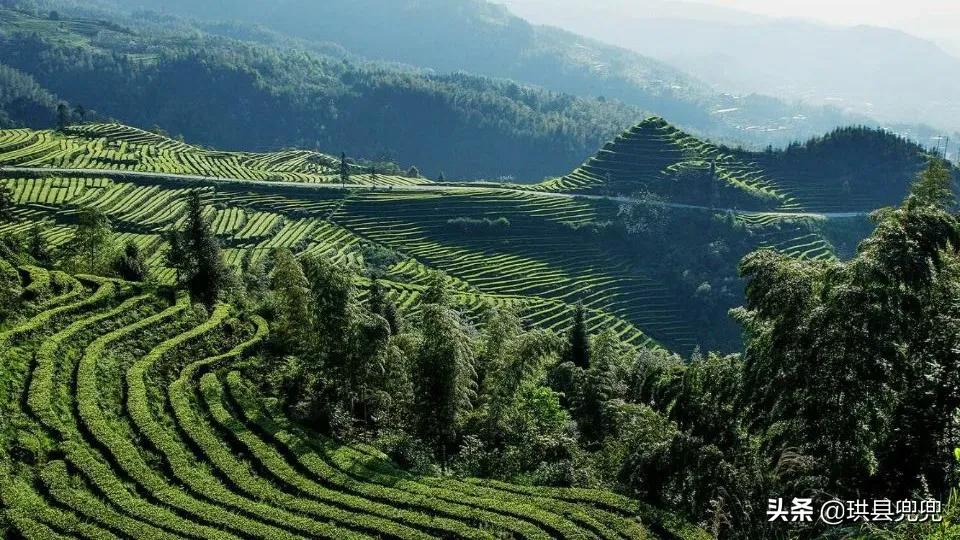 珙县孝儿、洛亥、上罗、玉和....全县都在做这样一件事情