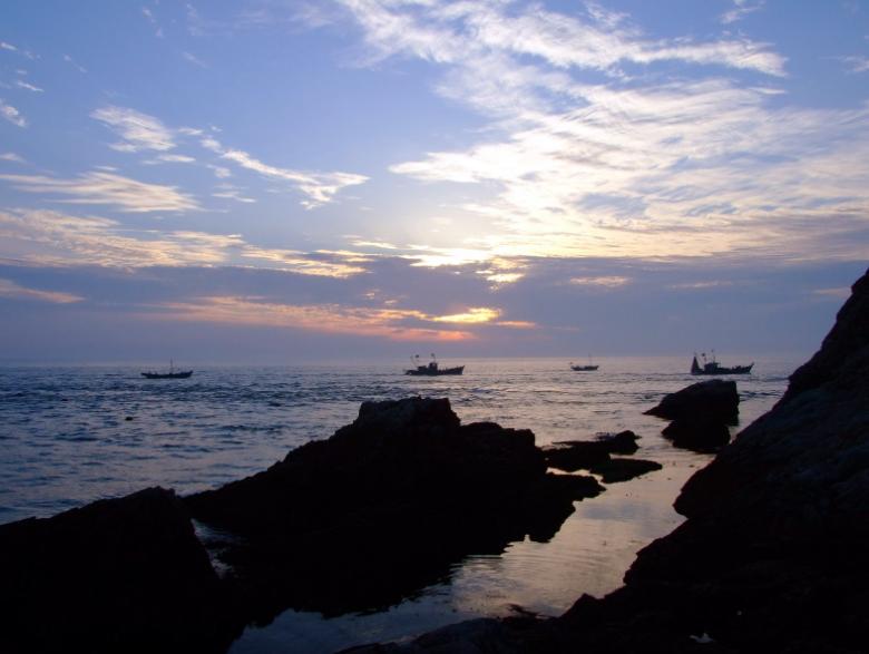 黄河为什么仍然浑浊,黄河为什么成为悬河也不清理