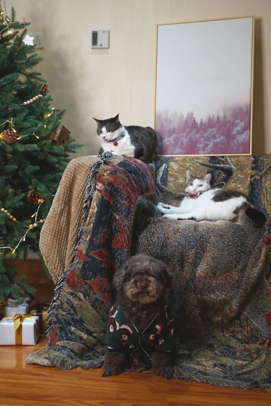 你的专属好物分享,你爱的好物分享