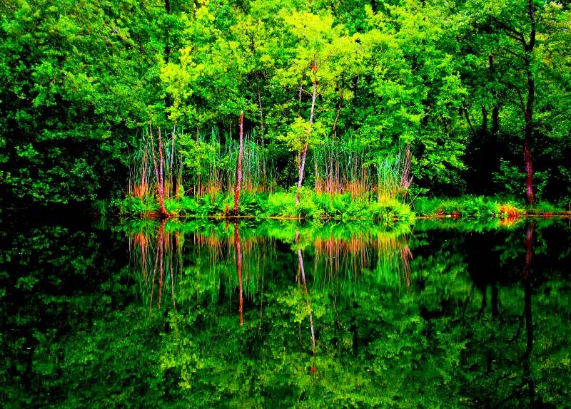 第一个对中国免签的欧洲国家,第一个对中国免签的国家在欧洲