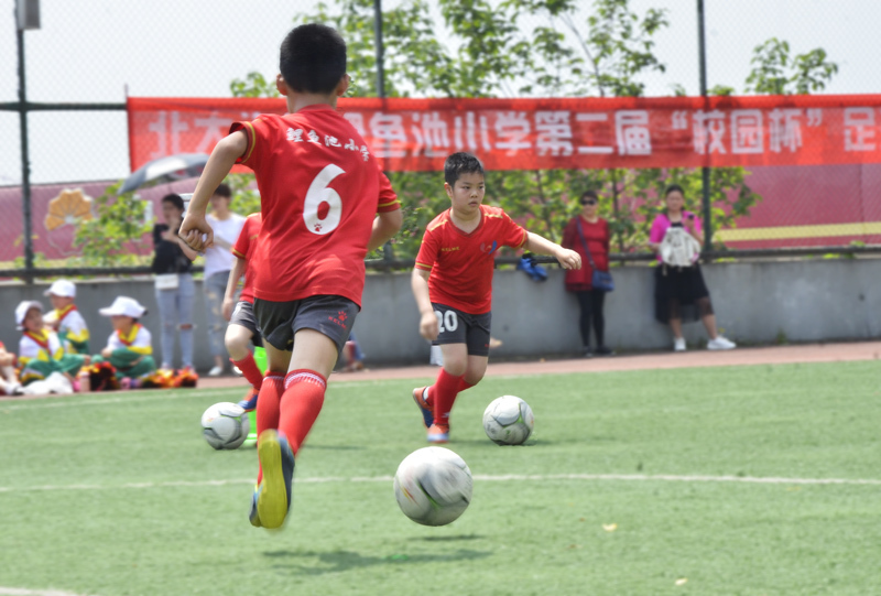 北大资源鲤鱼池小学六一班,北大资源鲤鱼池小学视频