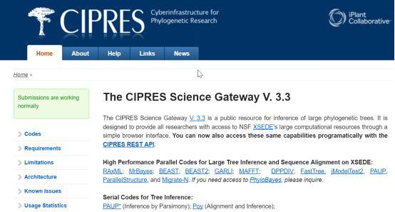 手把手教你构建漂亮的进化树,系统进化树怎么调试节点