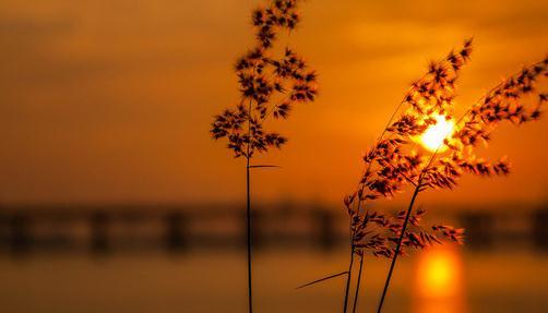 心中有风景人生不荒凉啥意思,心中有爱何惧人生荒凉的诗句