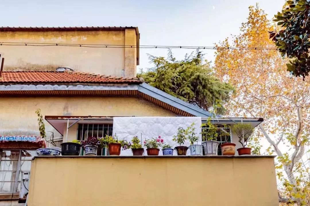 生活在南京的真实感受,南京适合生活嘛