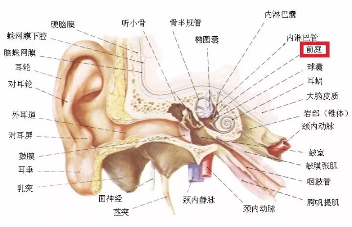 警惕“床上事件”，莫让悲剧发生！