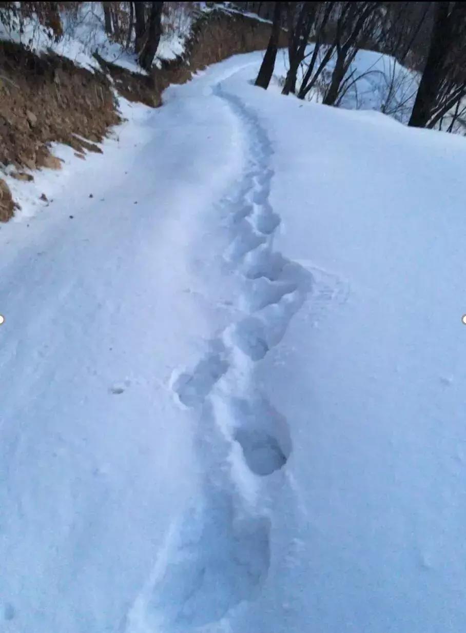摄影讲堂冬季冰雪的拍摄技巧,冰雪拍摄技巧大全集