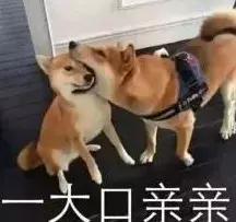 混吃等死、一夜暴富…现实给不了希望只能靠表情包续命