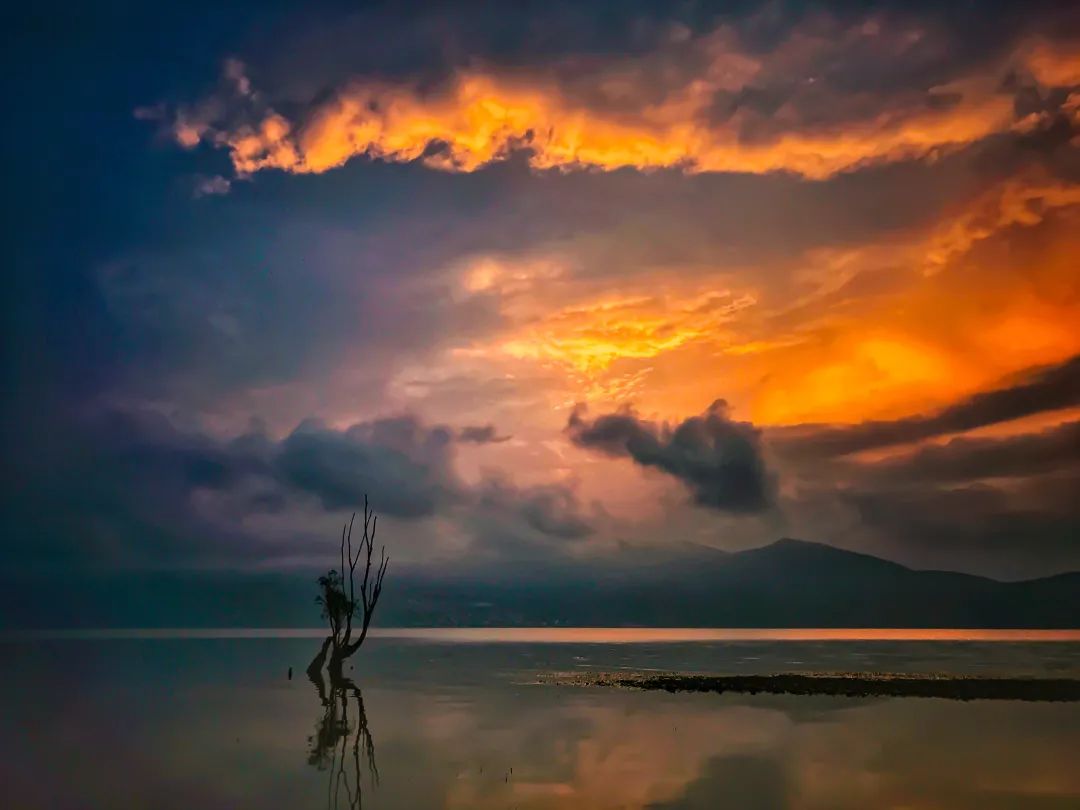 2023平遥国际摄影节获奖摄影作品,2009大理摄影展获奖作品