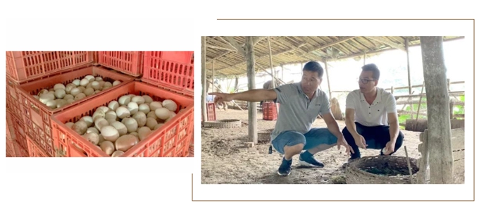 乡村振兴畜牧发展前景,乡村振兴渔业发展