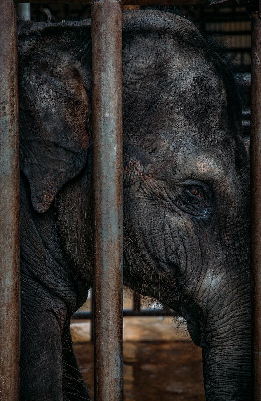 GQ报道,gq报道号