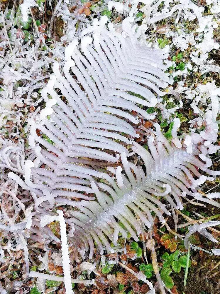 贵阳云雾山云海,贵阳云雾山雾凇旅游攻略