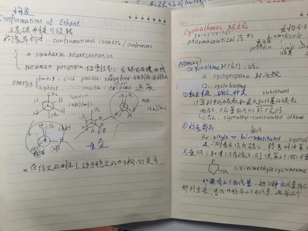是你们院的吗?东大学霸线上出没