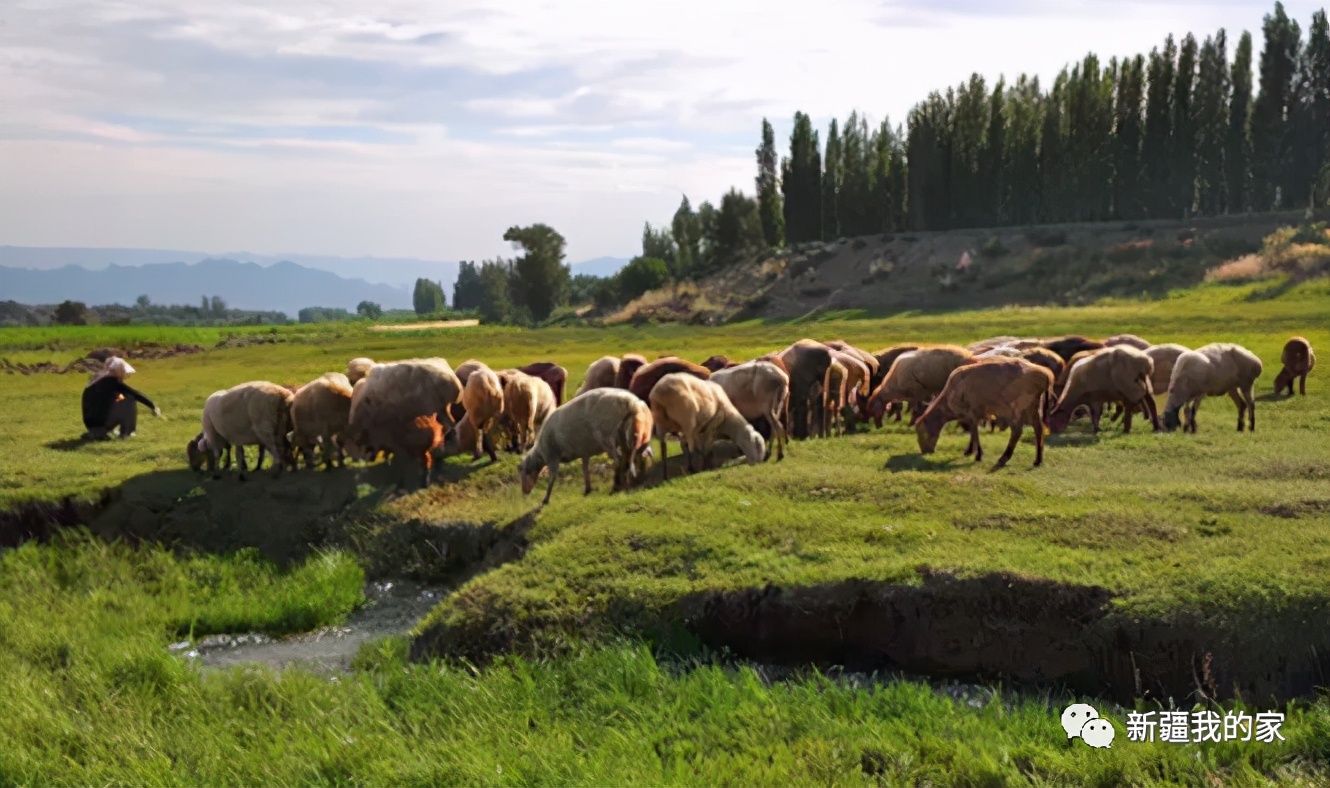 达坂城古迹在哪里,达坂城是个啥地方