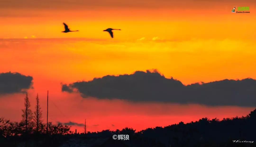 春节你的爱车可以停到这些地方,要过年了你的爱车保养了吗