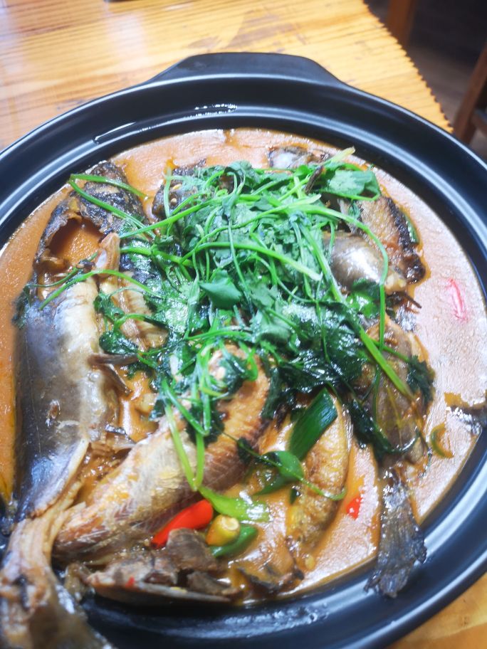 2021安吉之旅,安吉之行