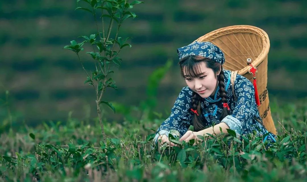 厦门闽南文化研学营,厦门闽南文化研学