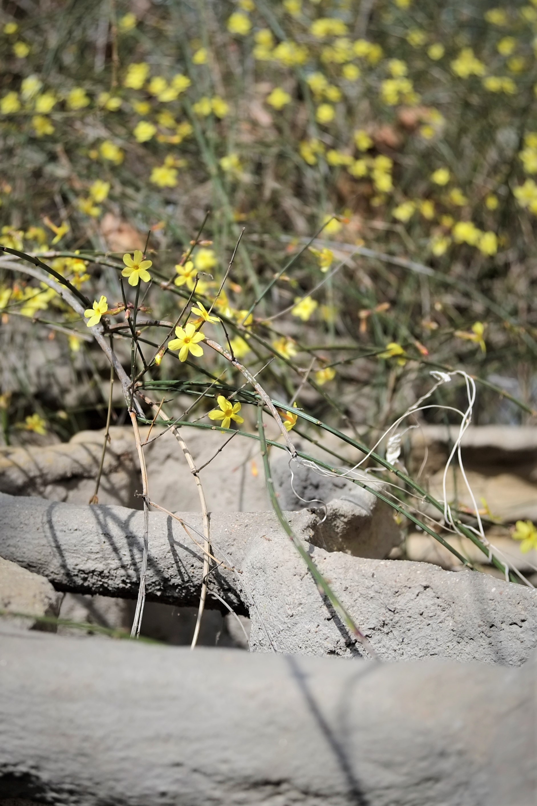 「老相机」照片中毒/二手富士X-PRO1+七工匠25mmF1.8的魅力