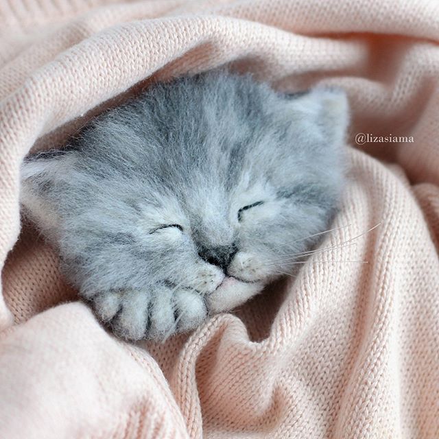 用羊毛毡做了很多小猫跟真的一样,用猫做羊毛毡