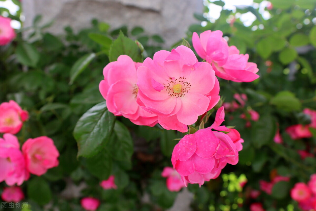 婆婆:当父母的花你们钱怎么了?我:经过我同意吗?凭什么?